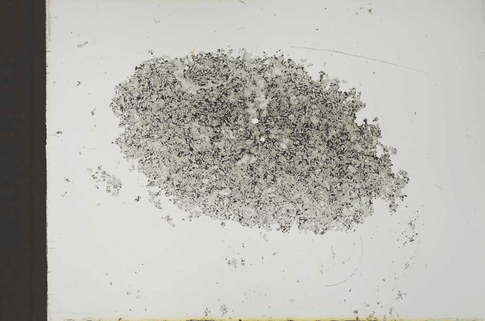 Plane Polarized, S23306