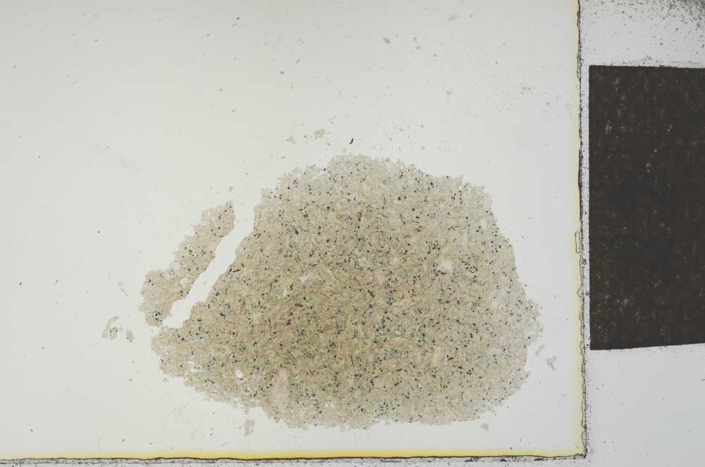 Plane Polarized, S23312
