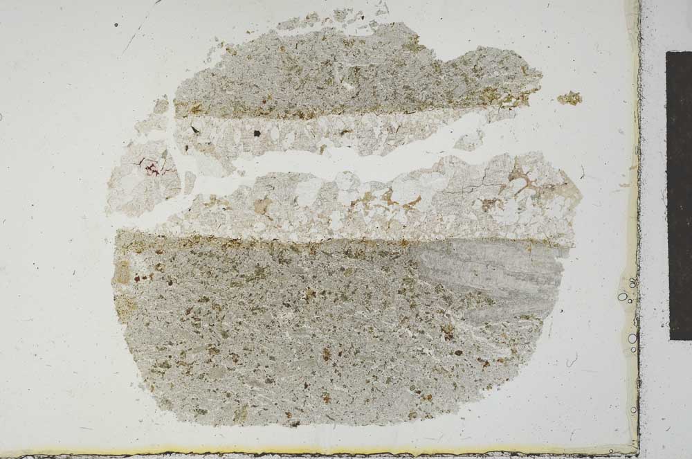 Plane Polarized, S23328