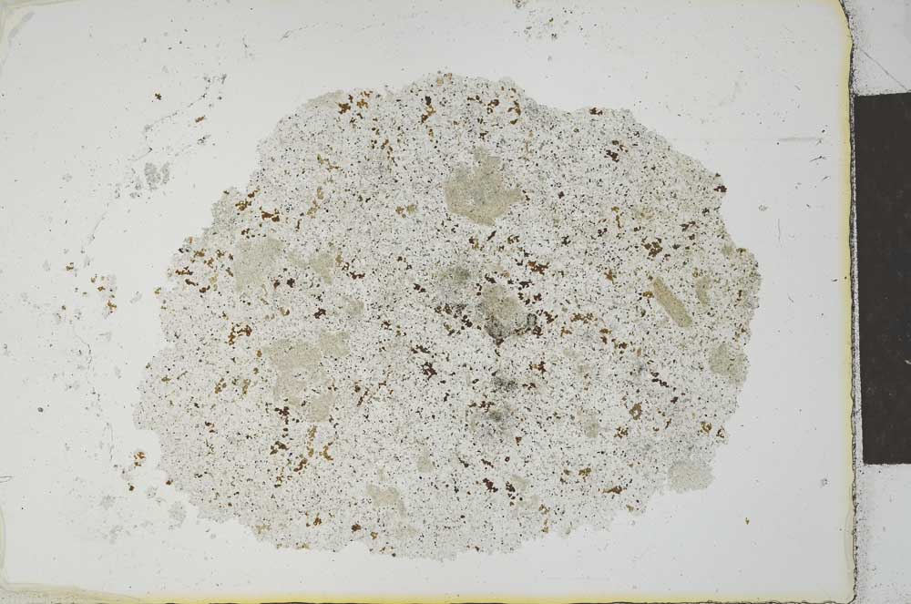 Plane Polarized, S23349