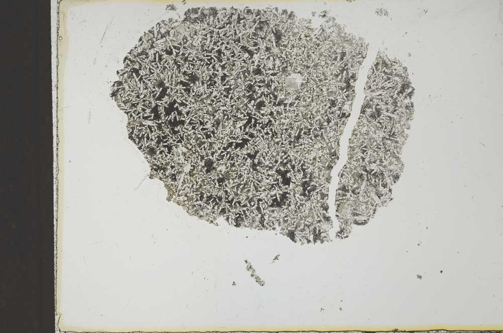 Plane Polarized, S23351
