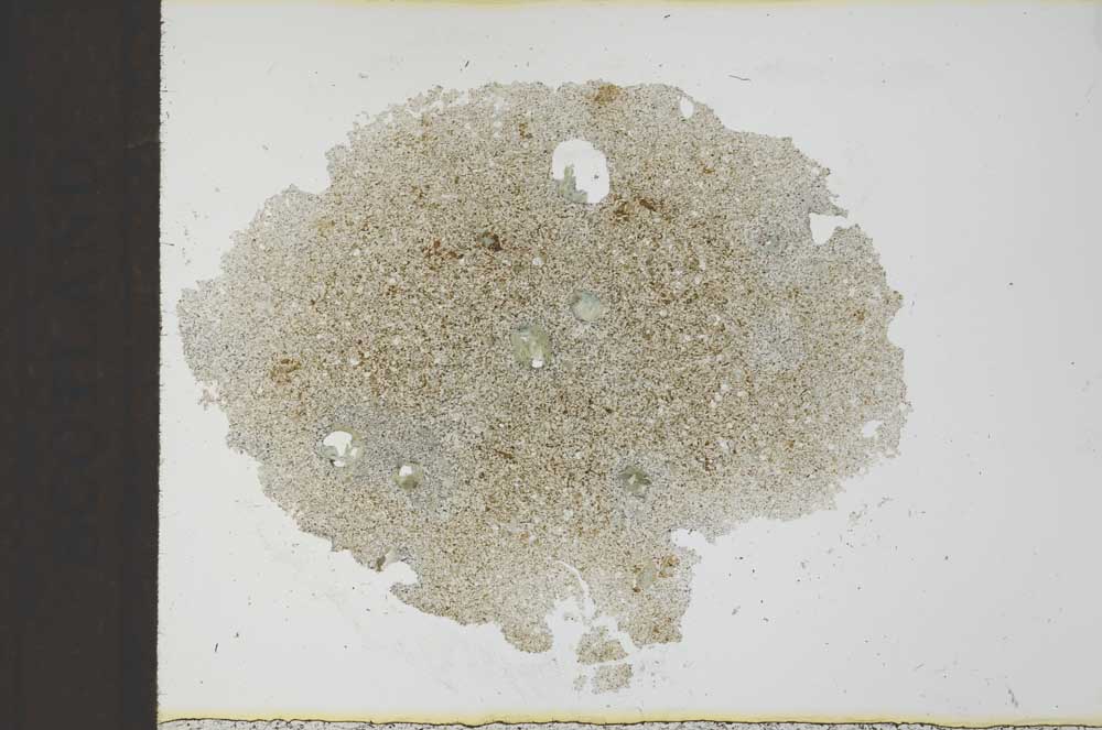 Plane Polarized, S23369