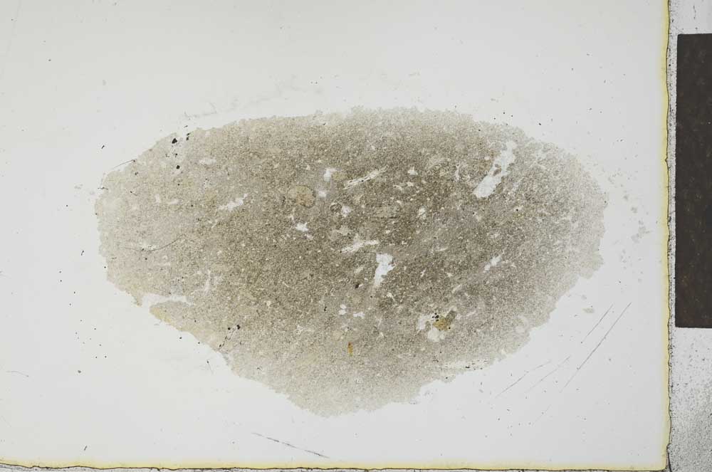 Plane Polarized, S23378