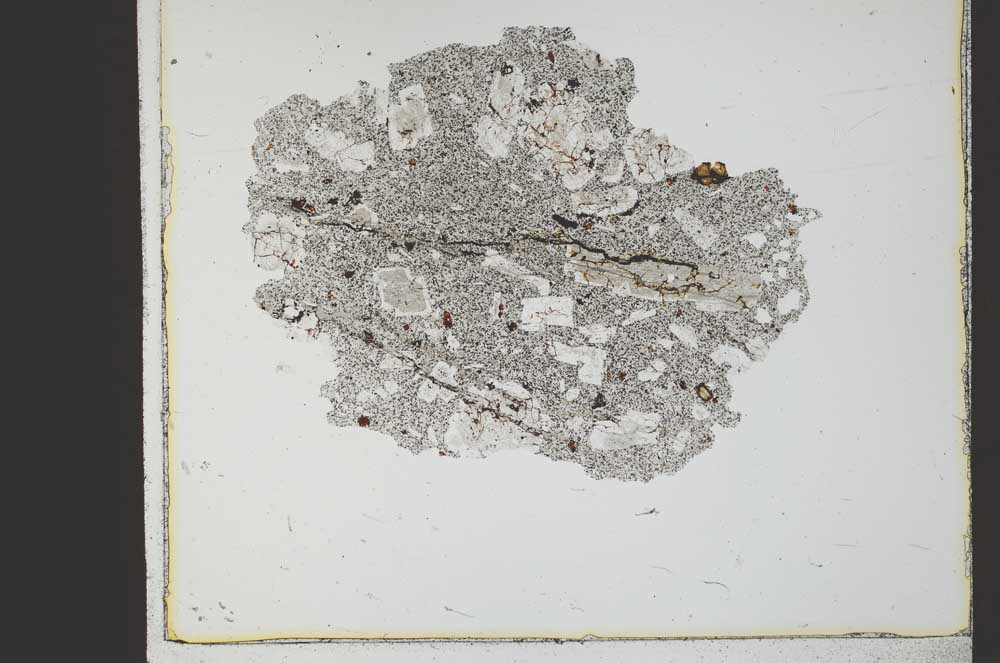 Plane Polarized, S23386