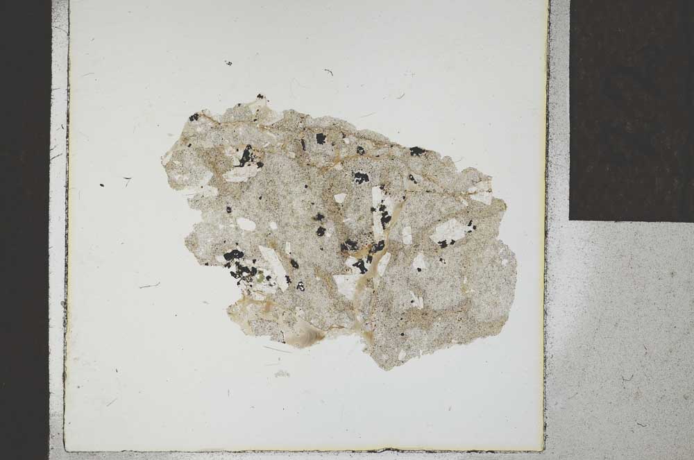 Plane Polarized, S23387