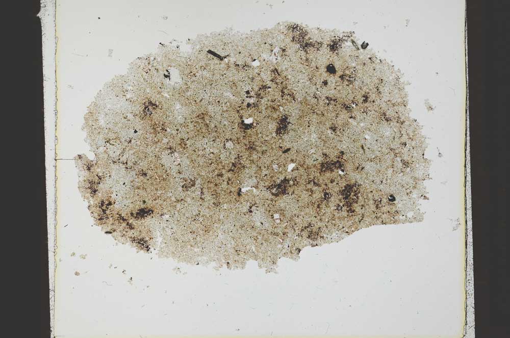 Plane Polarized, S23389