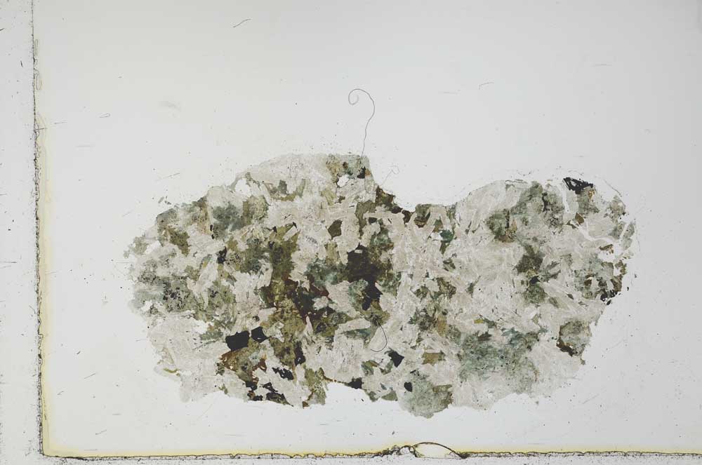 Plane Polarized, S23393