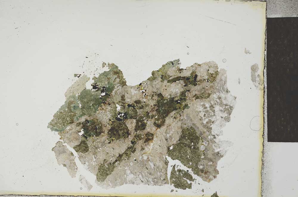 Plane Polarized, S23468