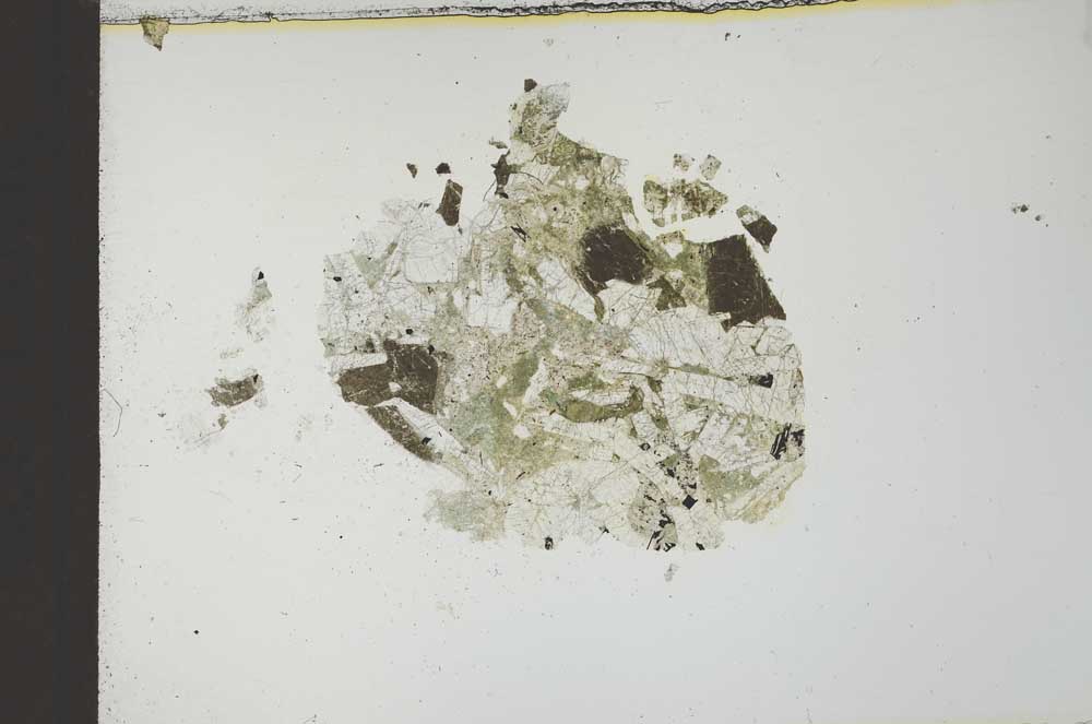 Plane Polarized, S23486
