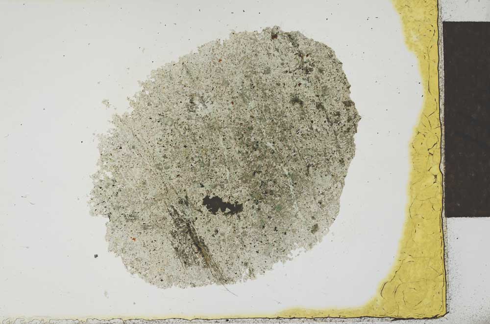Plane Polarized, S23489