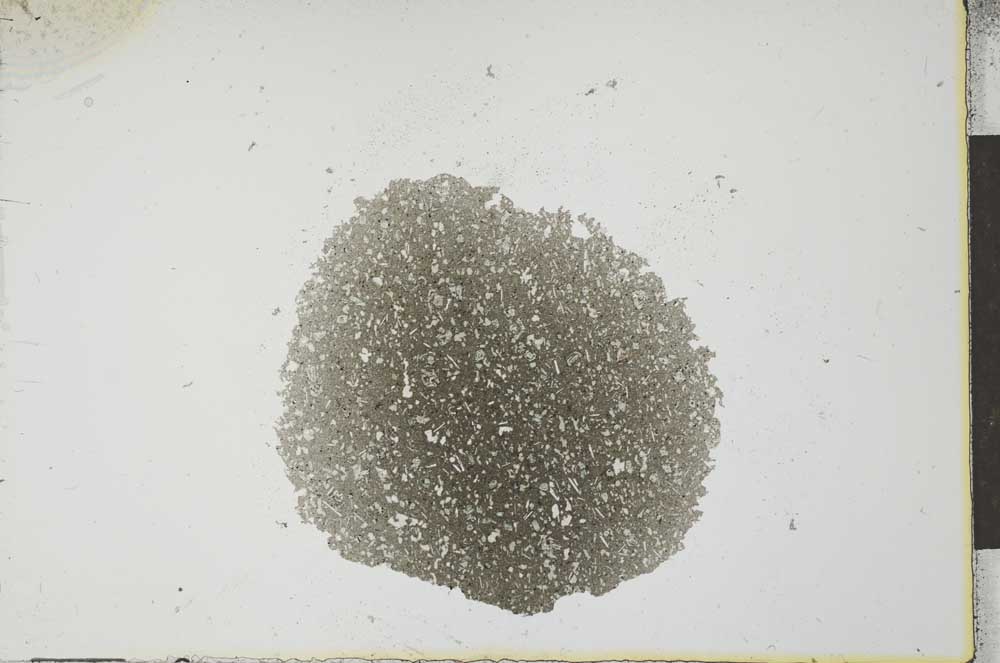 Plane Polarized, S23532