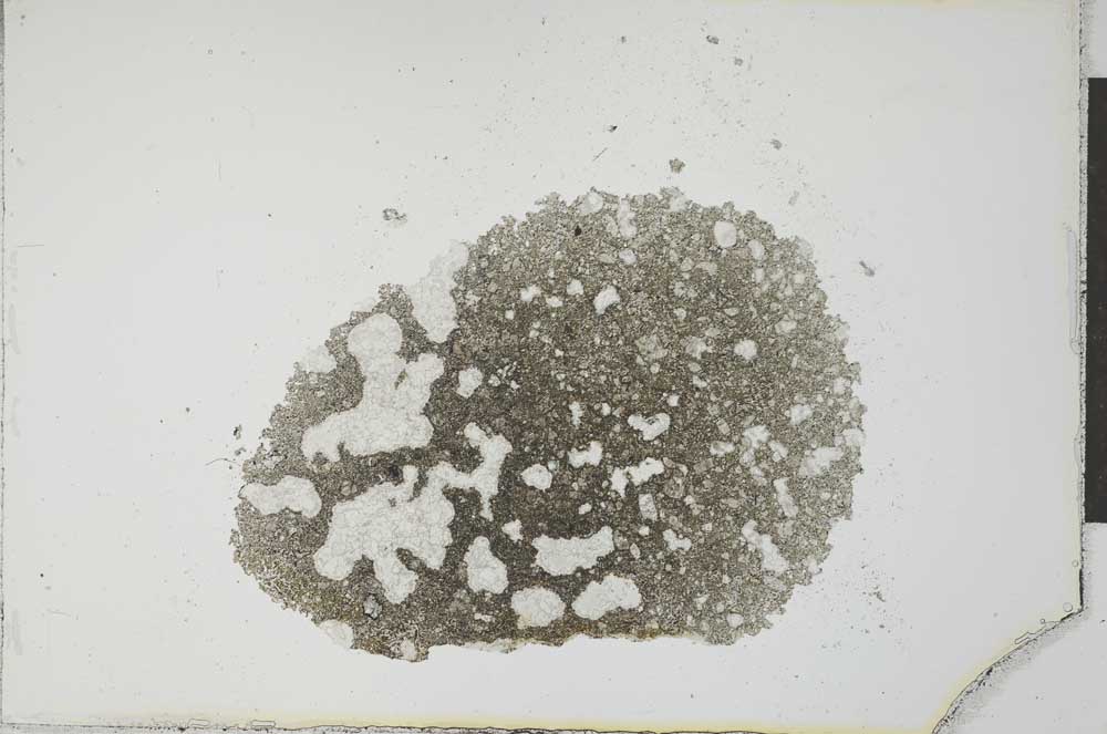 Plane Polarized, S23535