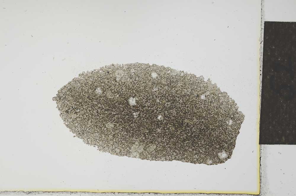 Plane Polarized, S23542