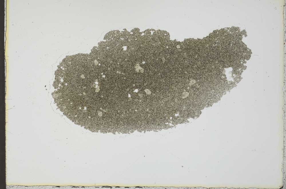 Plane Polarized, S23549