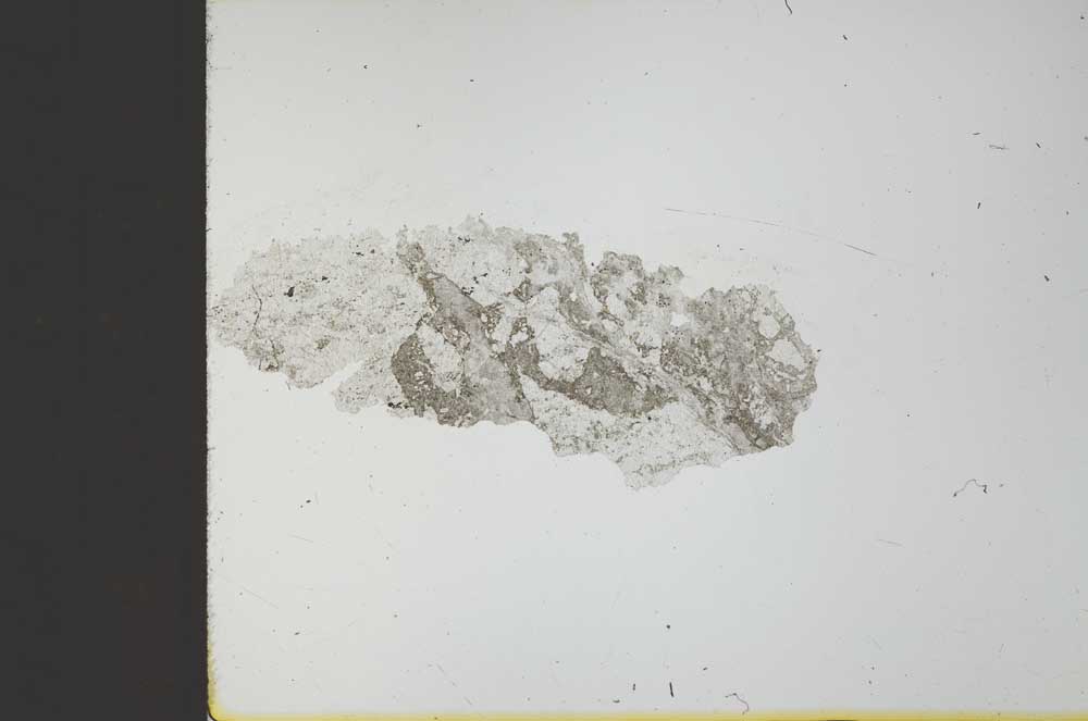 Plane Polarized, S23570