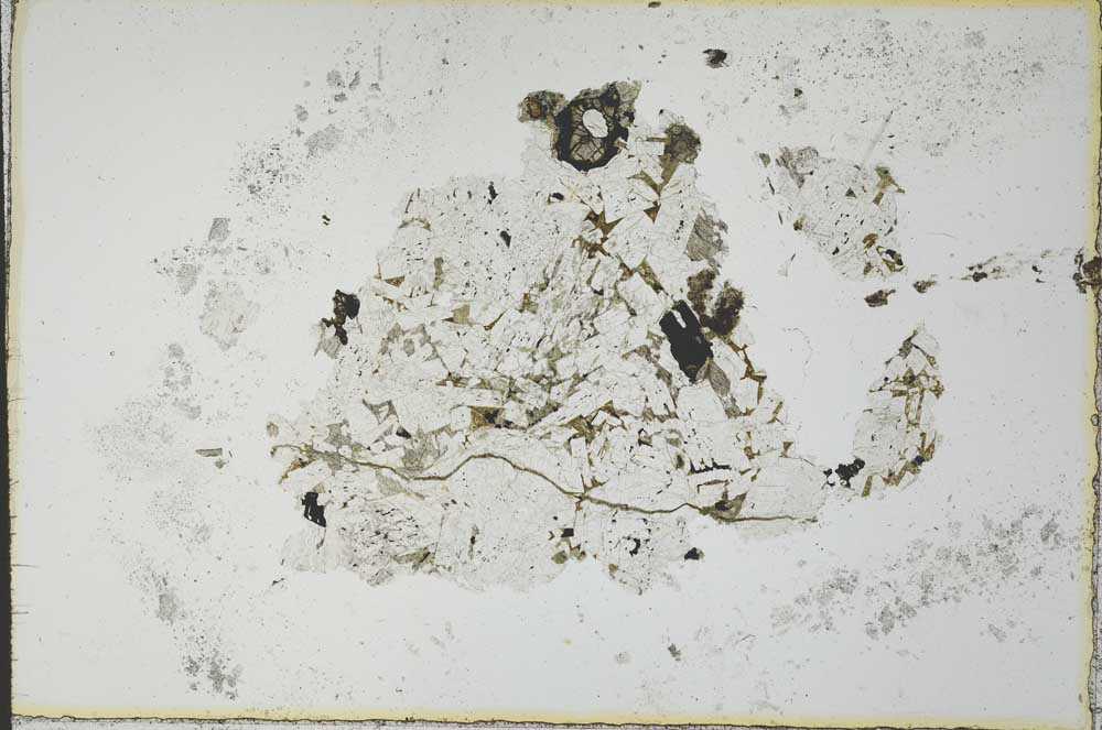 Plane Polarized, S23581