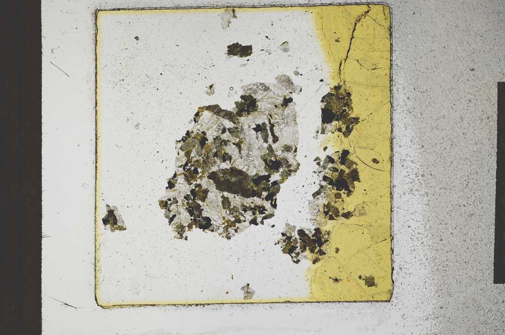 Plane Polarized, S23581/A