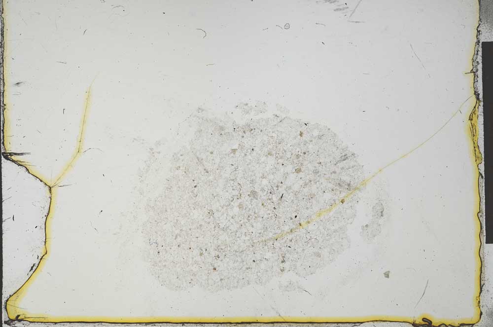 Plane Polarized, S23611