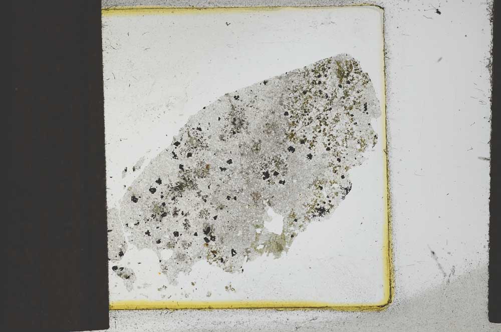Plane Polarized, S23616