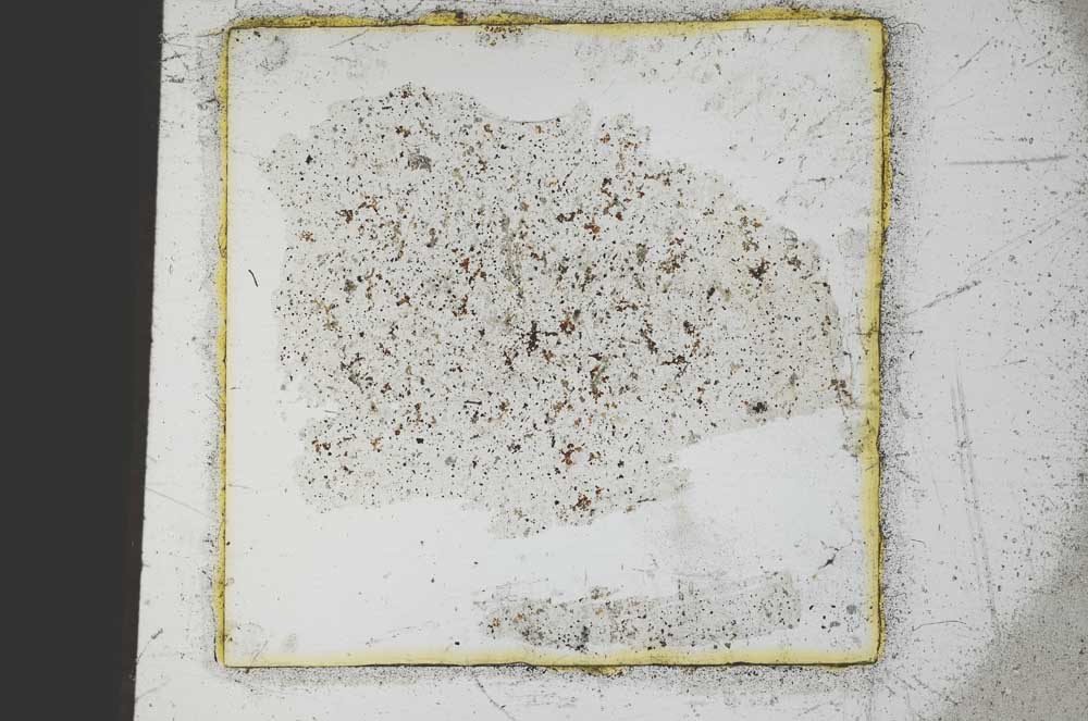 Plane Polarized, S23626