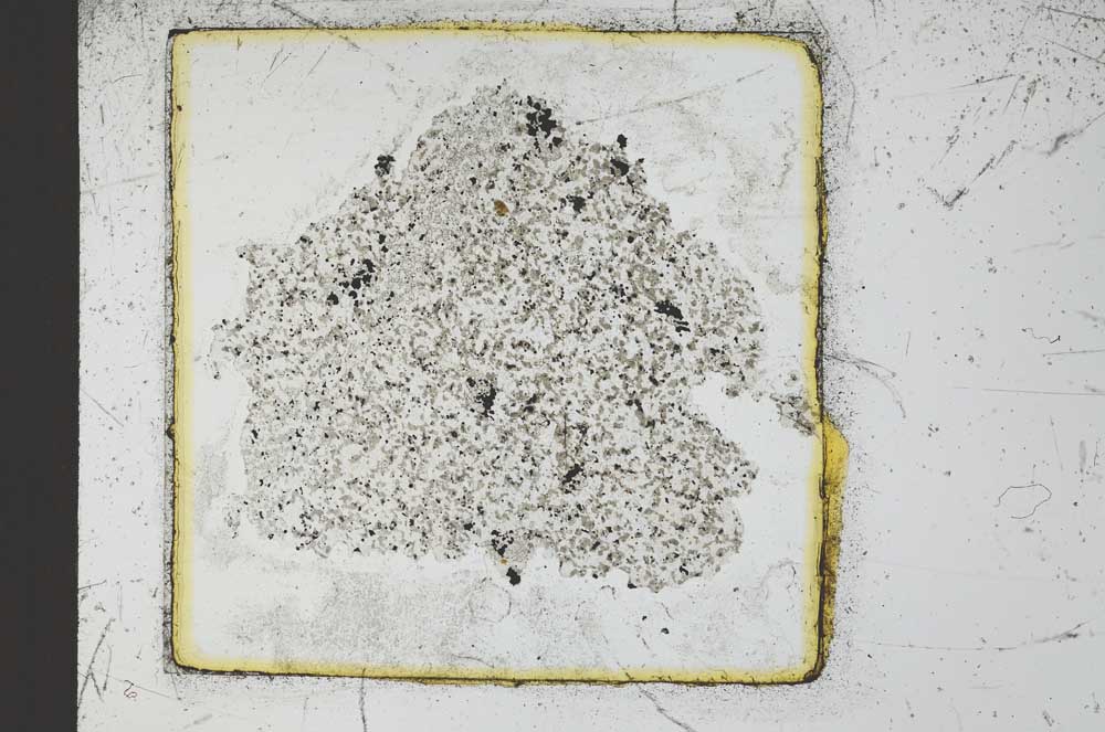 Plane Polarized, S23630