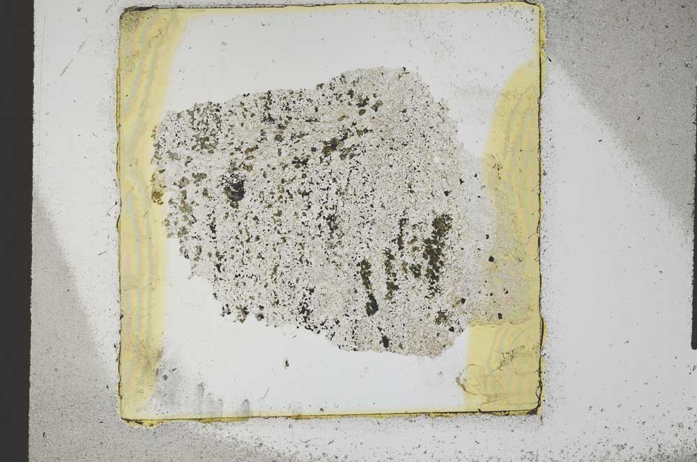 Plane Polarized, S23631