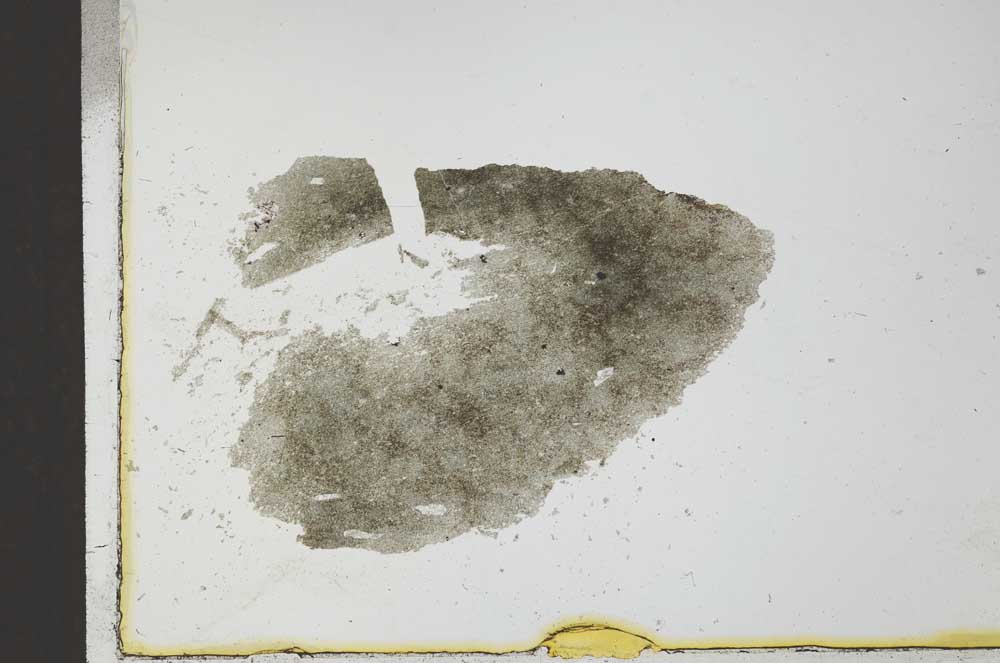 Plane Polarized, S23647