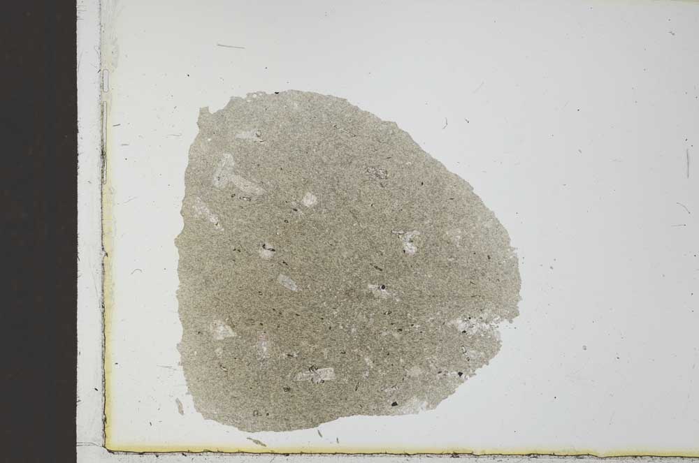 Plane Polarized, S23648
