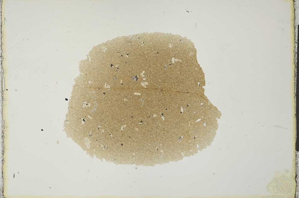 Plane Polarized, S23706
