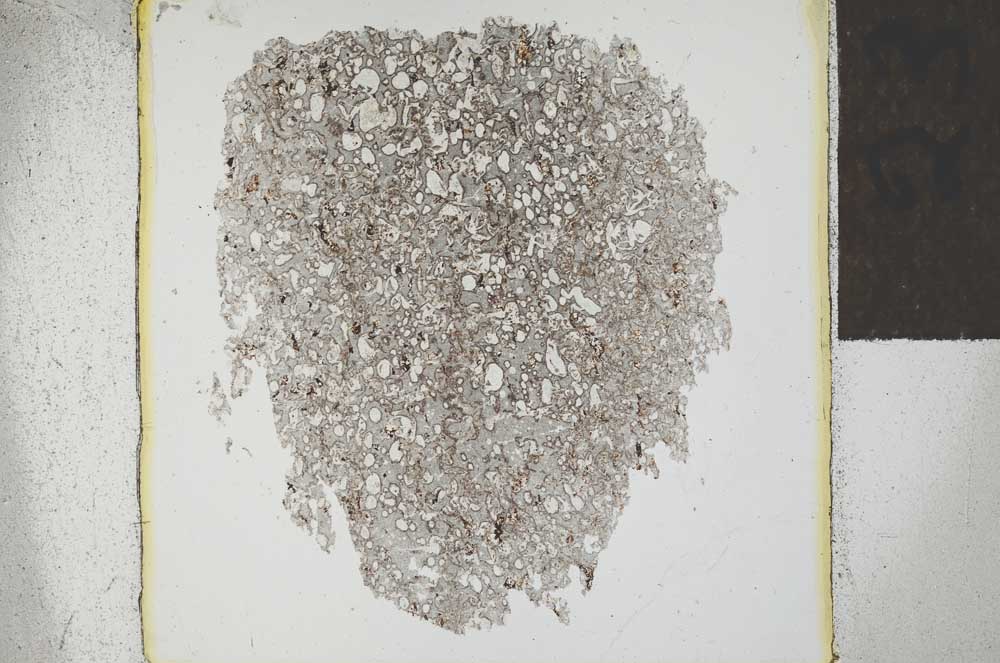 Plane Polarized, S23811