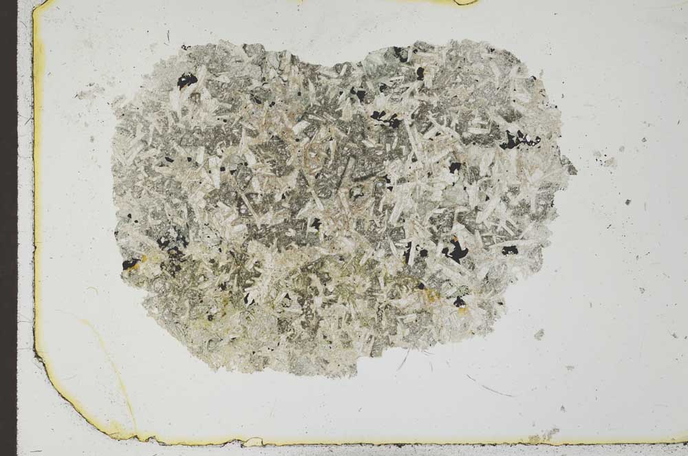 Plane Polarized, S23832