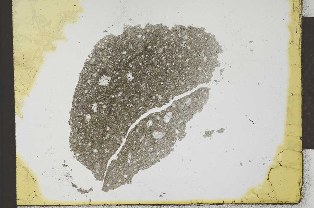 Plane Polarized, S23835