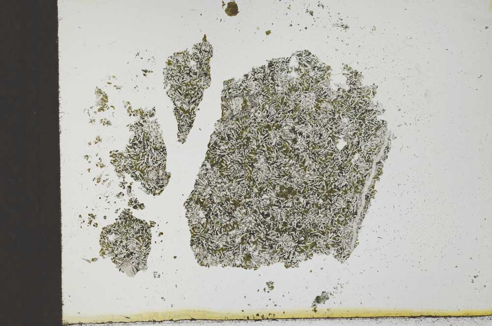 Plane Polarized, S23839