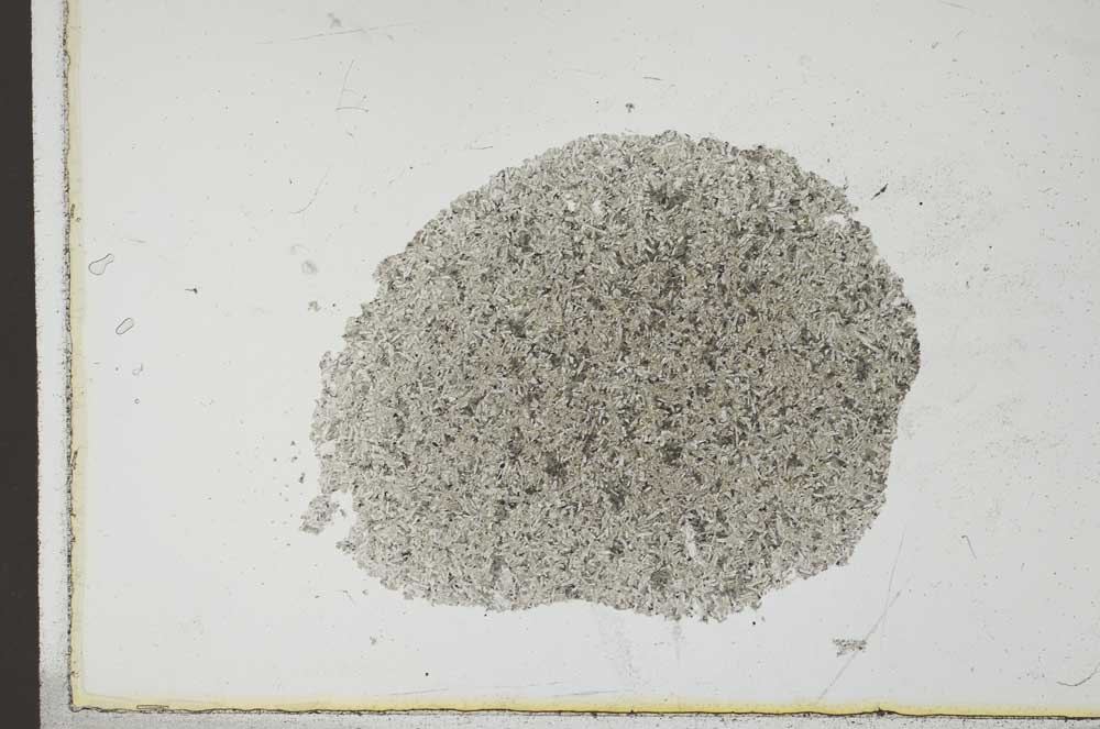 Plane Polarized, S23846