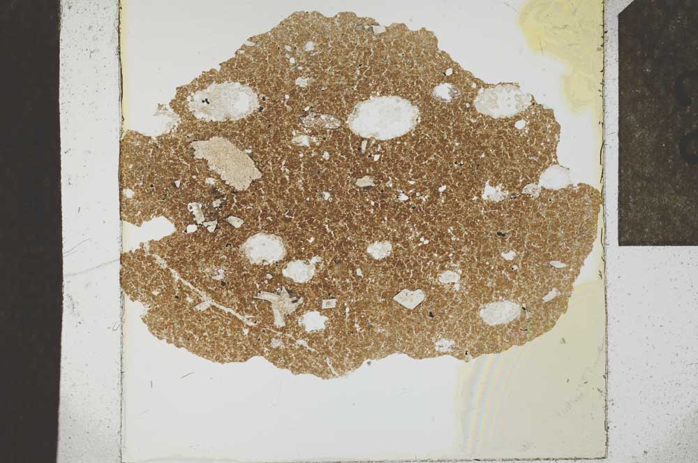 Plane Polarized, S23848