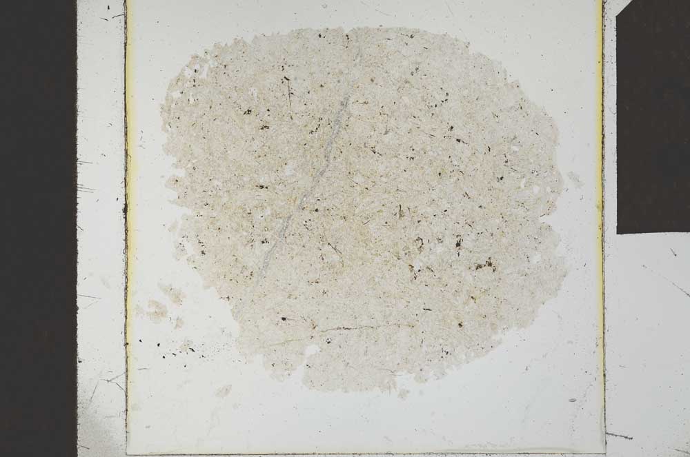 Plane Polarized, S23856