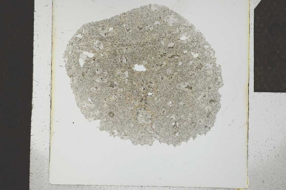 Plane Polarized, S23859