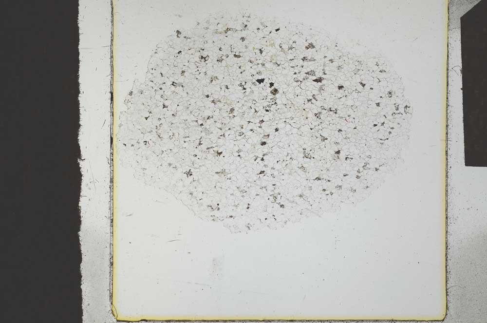 Plane Polarized, S23860