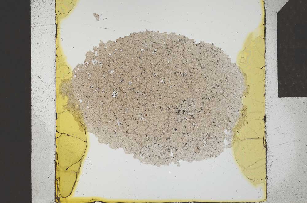 Plane Polarized, S23862