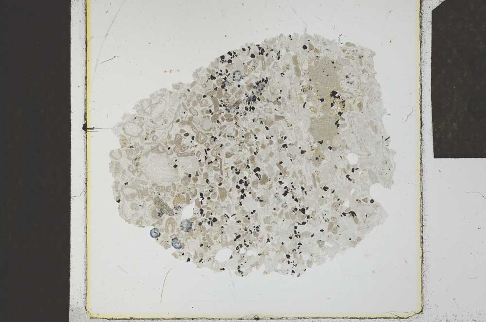 Plane Polarized, S23876