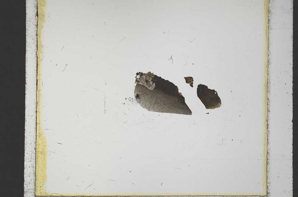 Plane Polarized, S23876/A