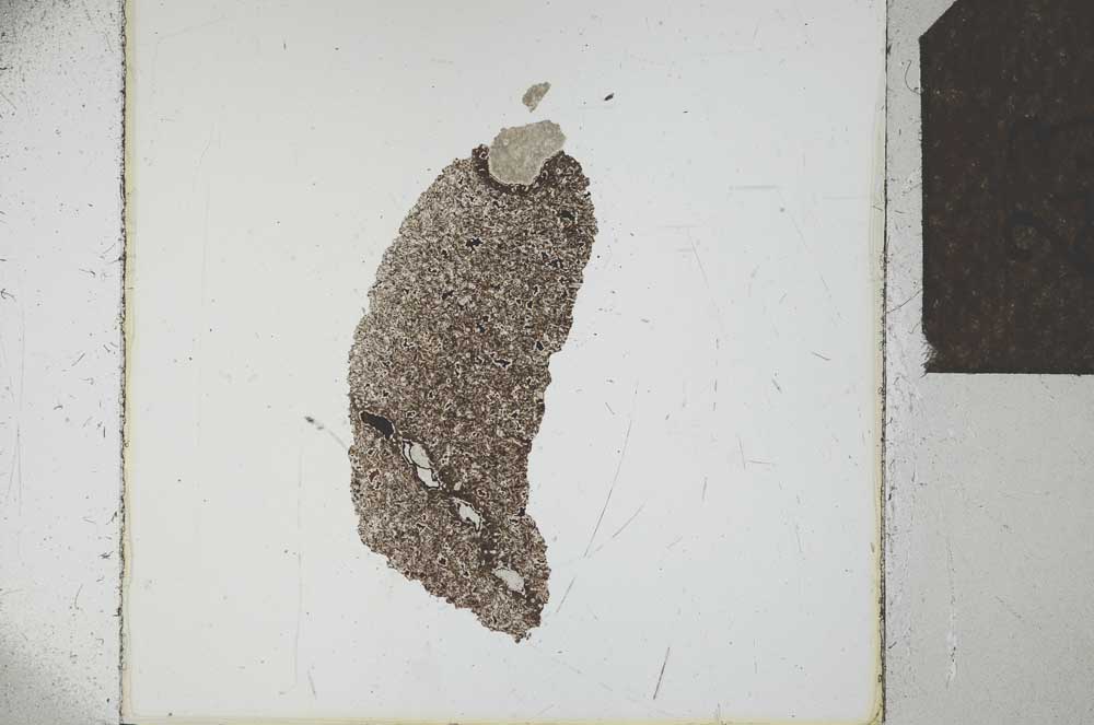 Plane Polarized, S23881