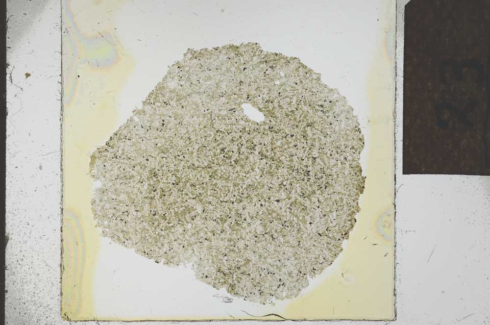 Plane Polarized, S23882