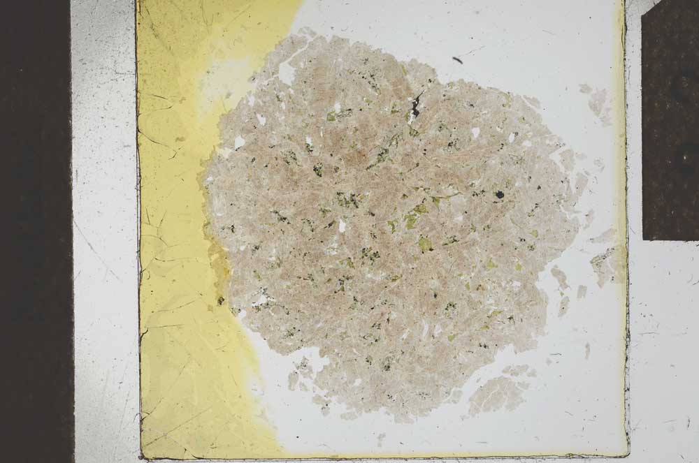 Plane Polarized, S23885