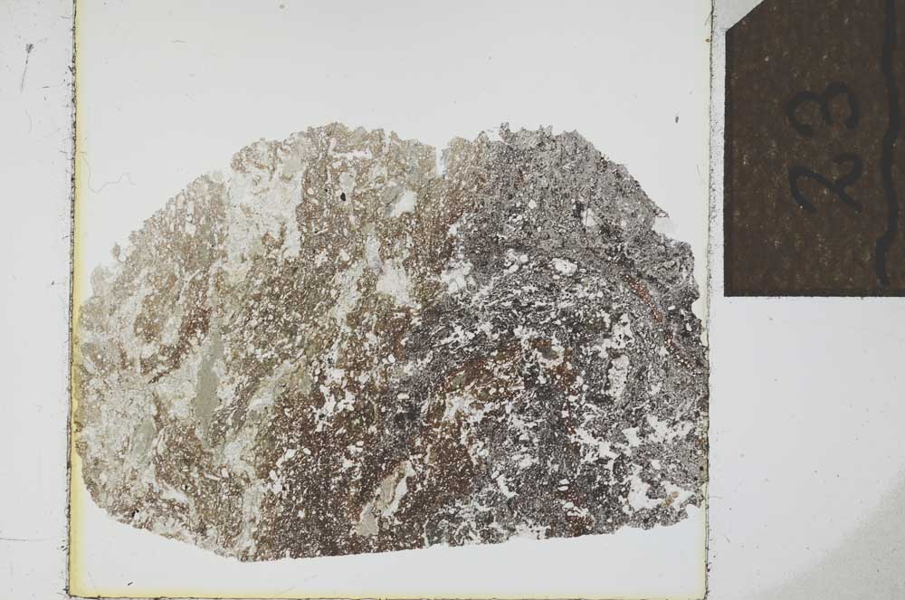 Plane Polarized, S23889