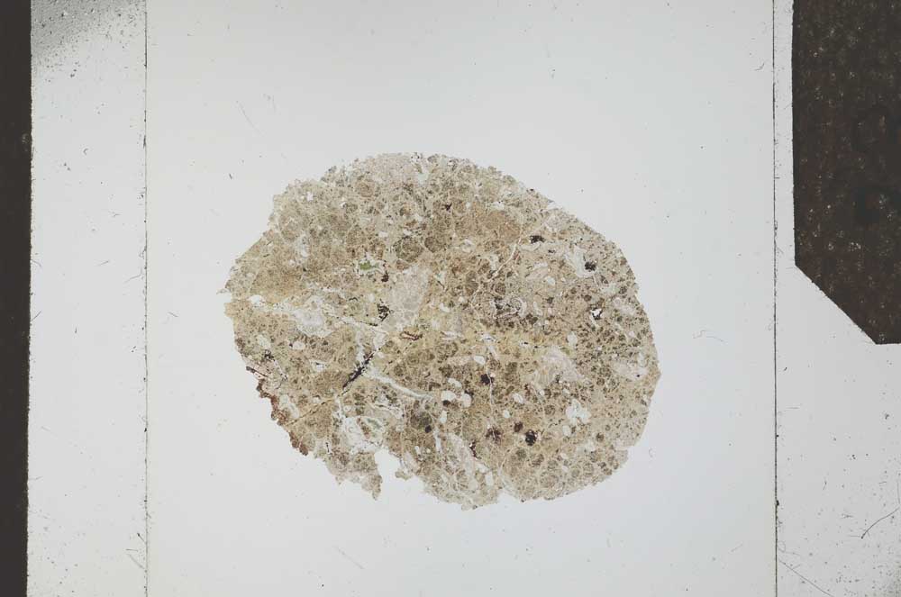 Plane Polarized, S23890