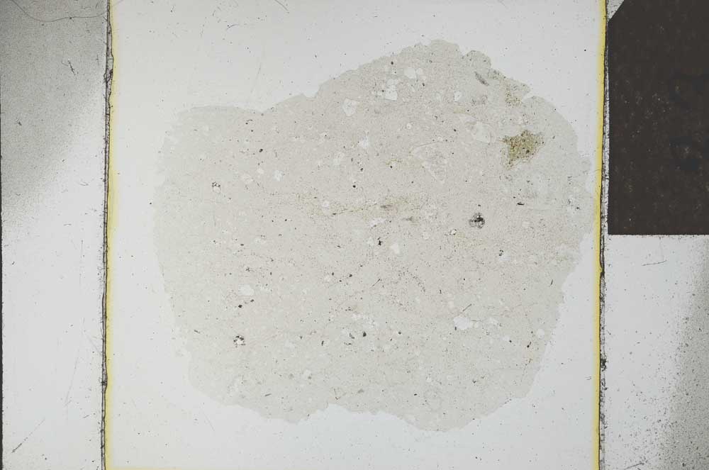 Plane Polarized, S23901