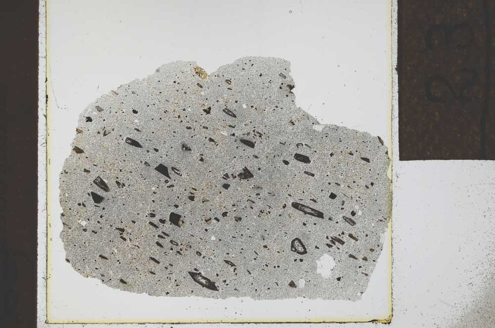 Plane Polarized, S23909