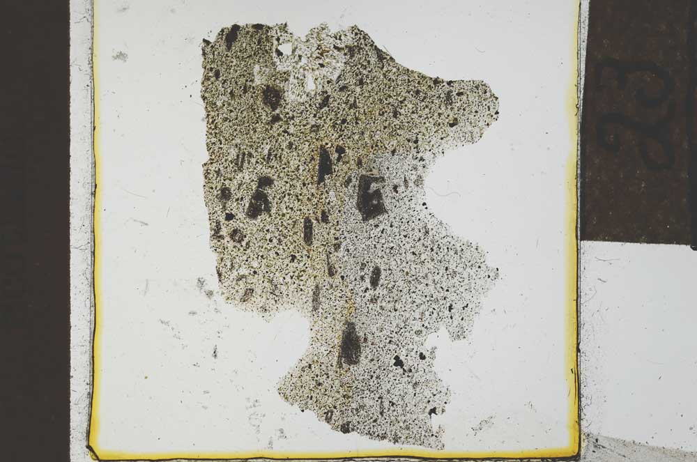 Plane Polarized, S23910