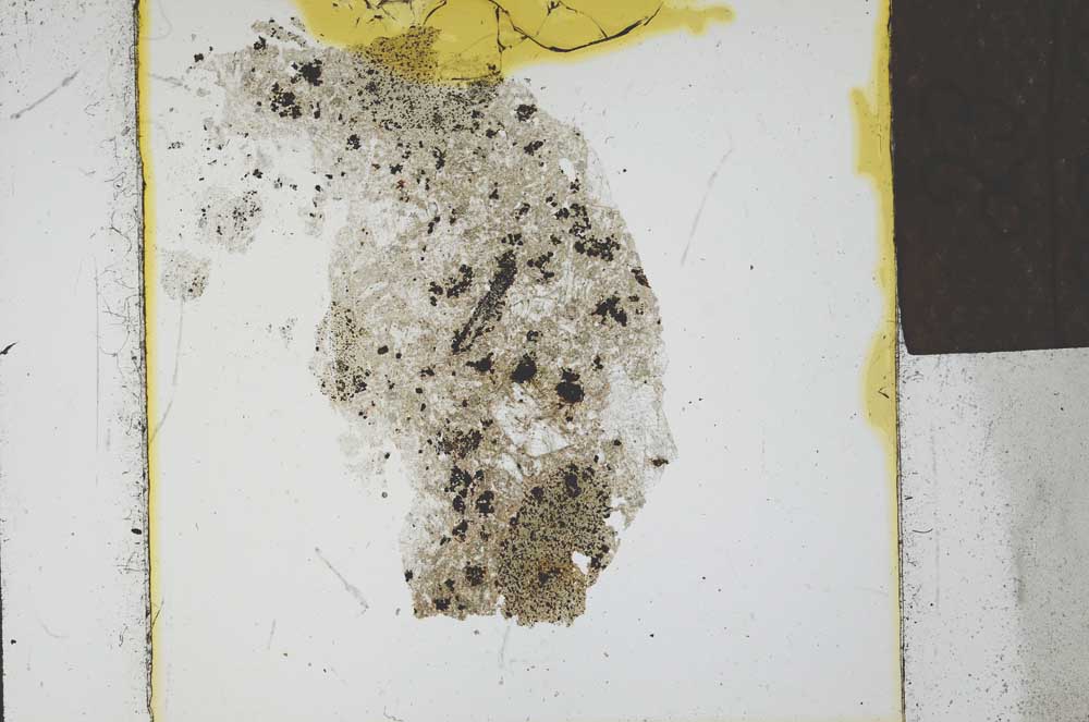 Plane Polarized, S23911/a